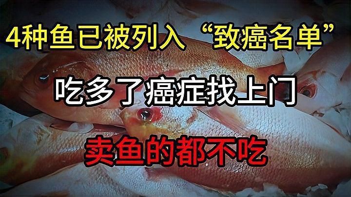 哪四種魚要少吃|智能模式回答完成調用工具：以下四種魚類因健康風險較高