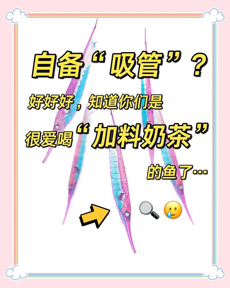 刀片魚介紹|傳說中的倒立姿態——刀片魚