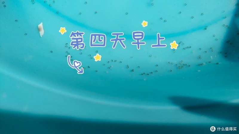 金魚(yú)1～12個(gè)月成長(zhǎng)圖|金魚(yú)1-12個(gè)月成長(zhǎng)變化的詳細(xì)分析