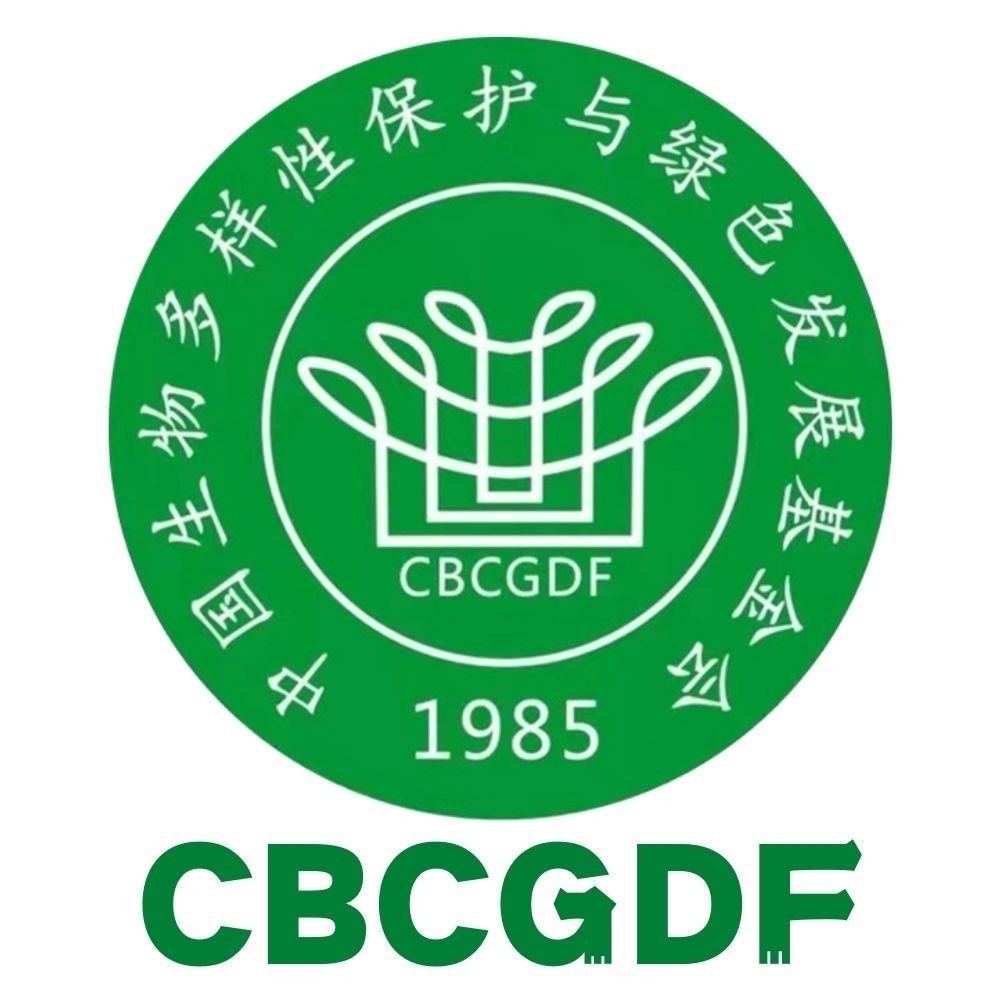 鯨滅絕名單|關于已滅絕鯨類及瀕危鯨種的綜合整理