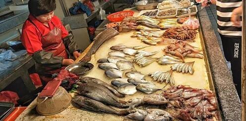 龍頭魚禁售對市場有何影響？|五一起東海全面禁漁8種海鮮禁售|市面上鮮味替代品貨源充足