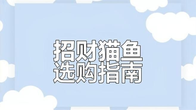 如何區分不同種類的招財魚？|招財魚有哪些種類