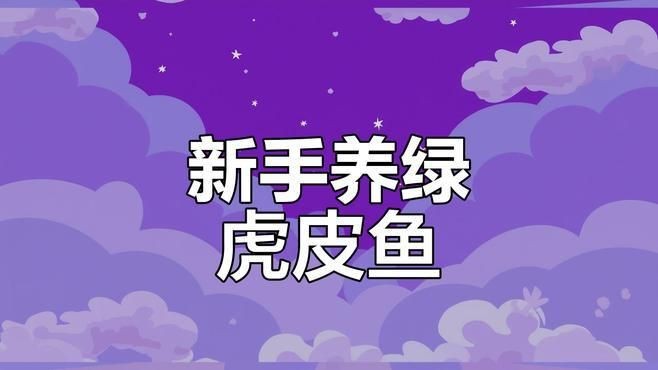 綠虎皮魚好養(yǎng)嗎