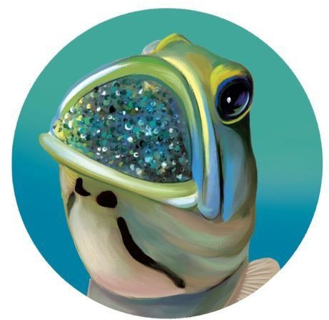 魚生小魚是從嘴巴里吐出來嗎|\