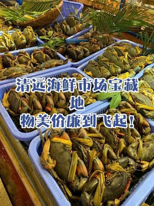 清遠水族批發市場|旅行盒子里的筆記本筆記本，清遠本地水族市場可獲取