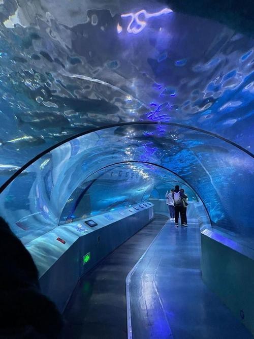 鐘山水族店|南京海底世界真實體驗攜程旅行南京海底世界真實體驗攜程旅行