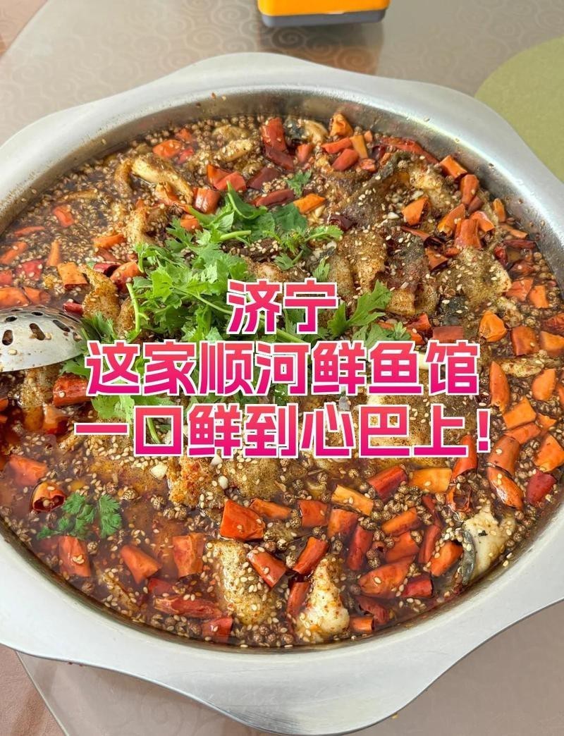 順河回族龍魚店|順河回族區有哪些與龍魚相關的商戶