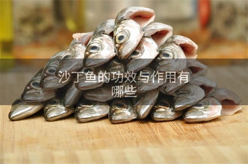 老年人吃沙丁魚好嗎|權威醫生專家意見老年人適量食用沙丁魚對健康有多重益處