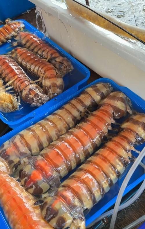 龍海哪里買海鮮便宜|安安willgo小日常島美漁港海鮮批發(fā)百度地圖