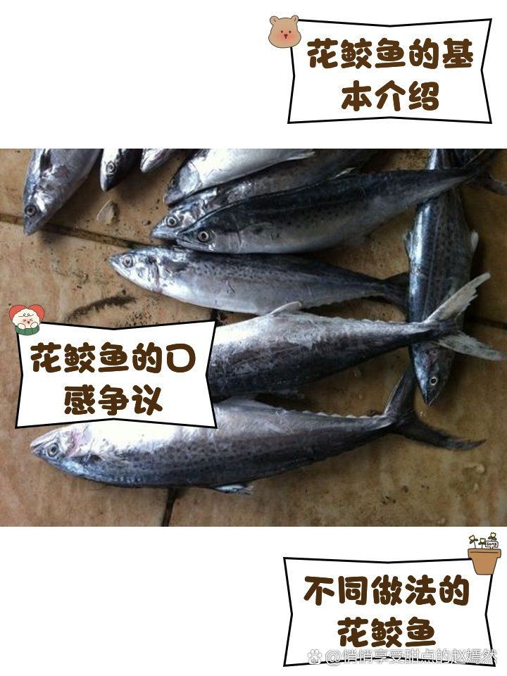 花鯽魚學名叫什么|關于“花鯽魚”的學名及相關信息