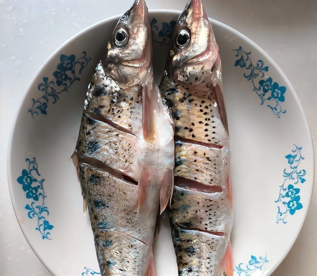 花鯽魚學名叫什么|關于“花鯽魚”的學名及相關信息