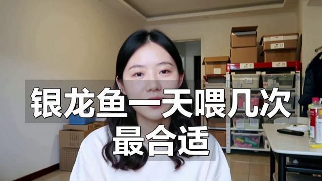 銀龍魚一天喂幾次最好？ 銀龍魚一天喂幾次最好？ 龍魚百科 第2張