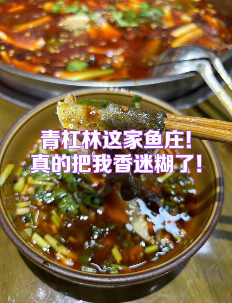 貢井水族店|四川貢井區(qū)魚歡水族店12月25日開業(yè)觀賞魚水族實(shí)體店