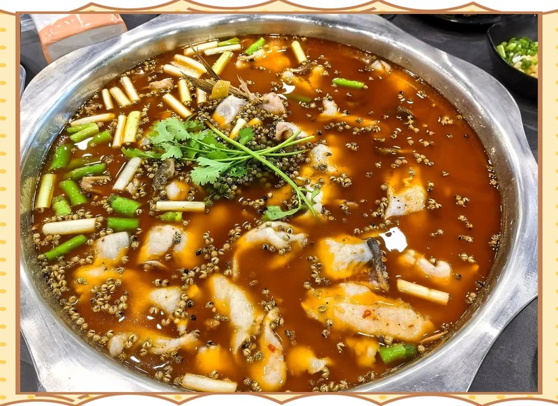 貢井水族店|四川貢井區(qū)魚歡水族店12月25日開業(yè)觀賞魚水族實(shí)體店