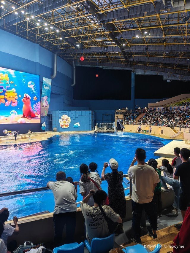 疏勒水族店|探秘疏勒水族館：藍色世界的奇妙邂逅