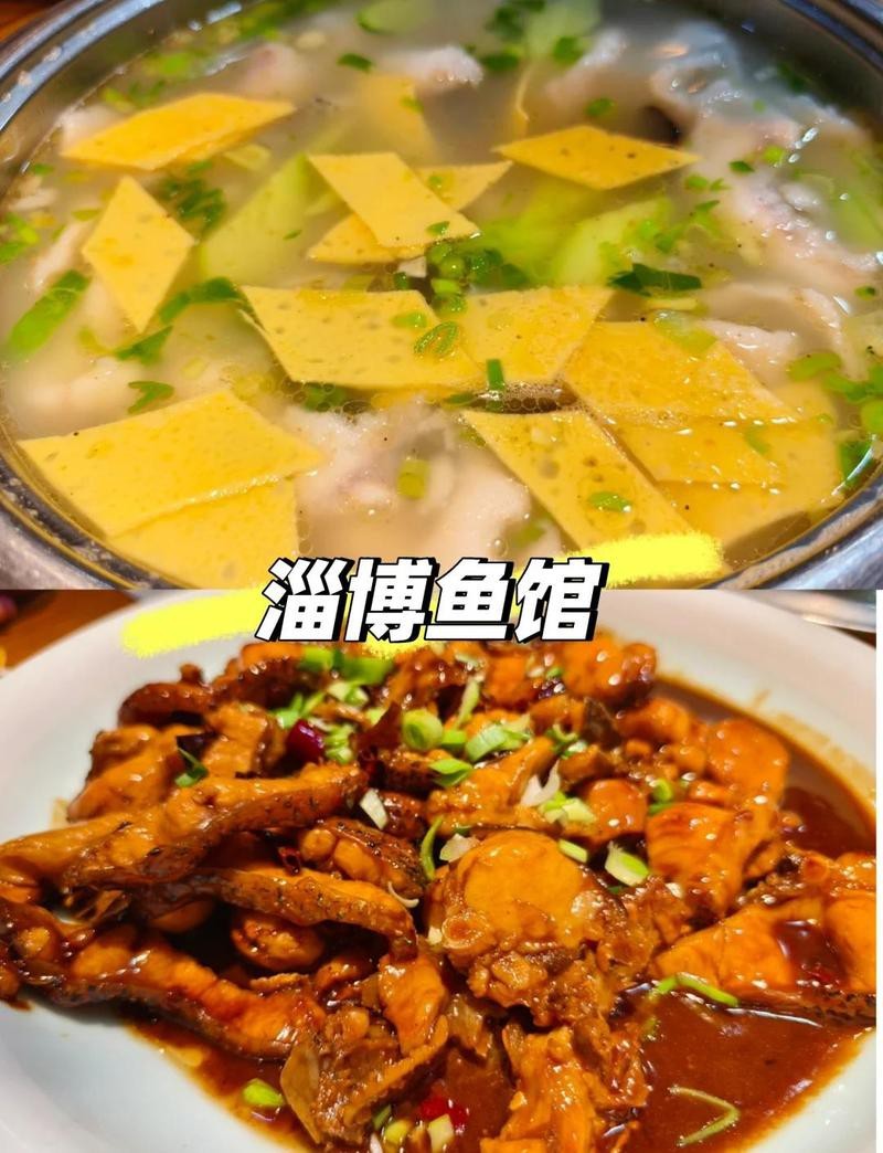 花山龍魚店|馬鞍山市花山區陽光龍魚健康養生會議咨詢服務機構