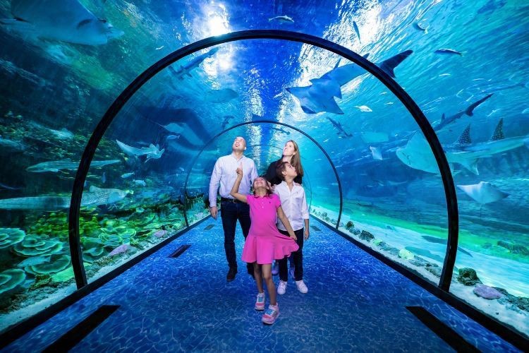 阿壩州水族店|貴州水族市場以祥龍魚場阿壩分店專注龍魚批發40年