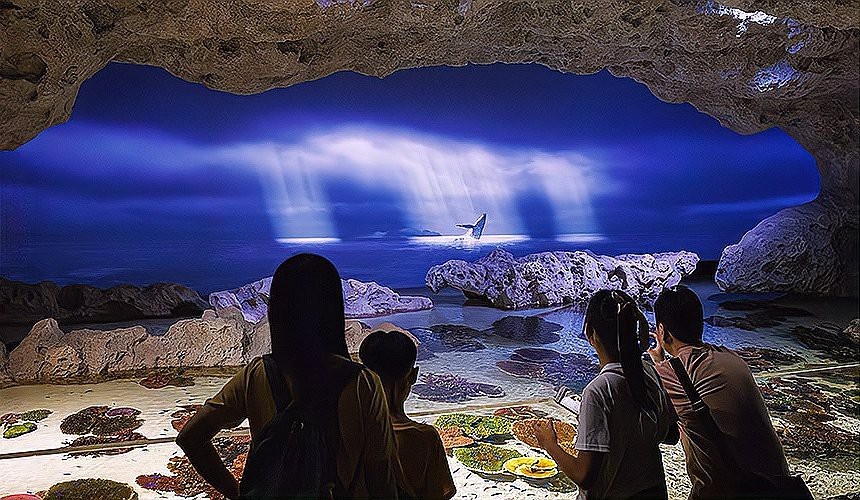 釣魚島水族店|沖繩dmm水族館