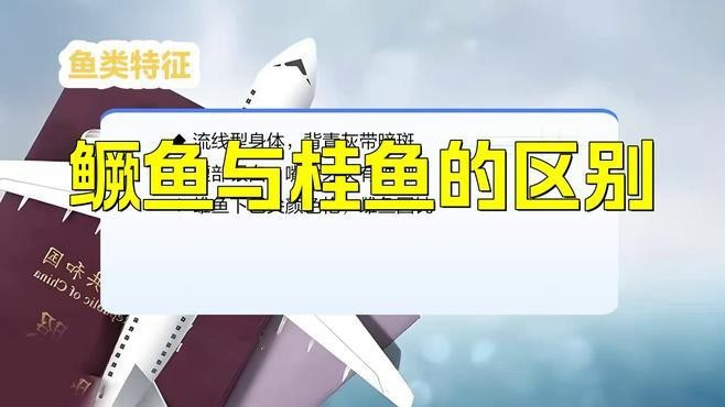 鱖魚和桂魚的區別|鱖魚與桂魚的區別