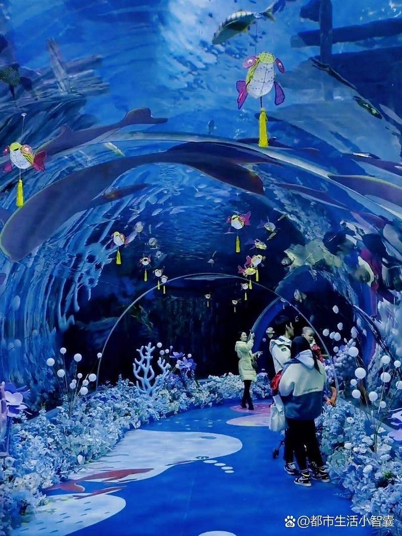 昆山水族店|昆山周市水族店怎么樣