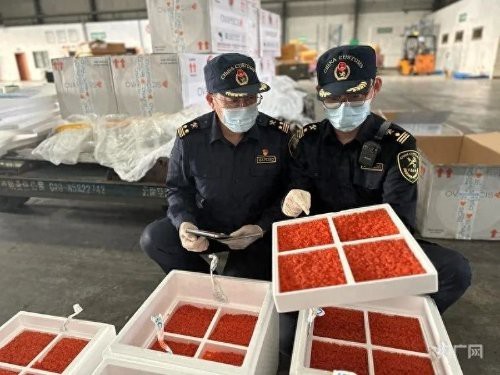紅龍魚合法證書樣本，關于紅龍魚合法證書的注意事項