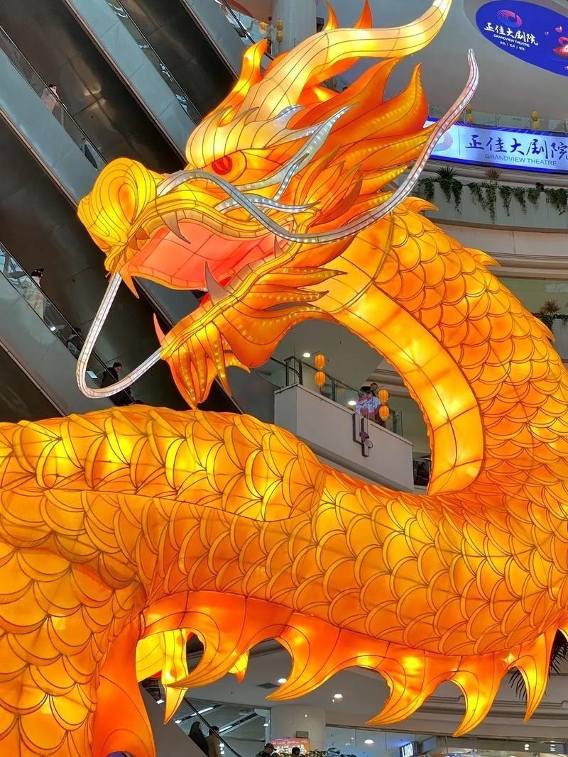 能提供幾張龍魚燈擺放的圖片嗎？|——龍魚燈光的使用方法