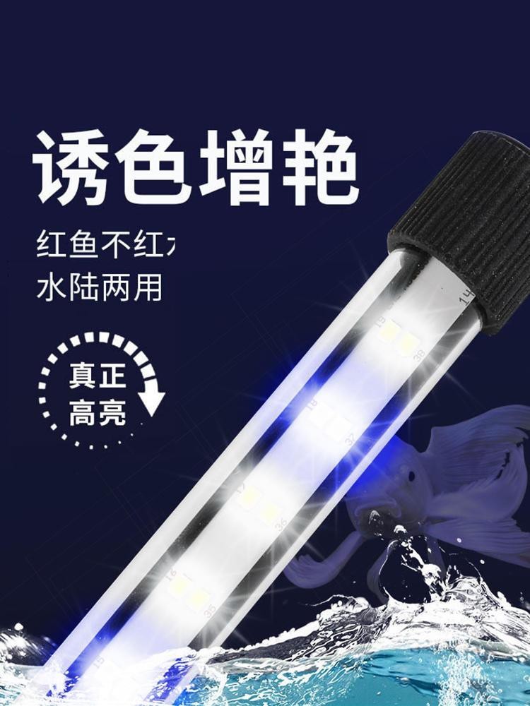 能提供幾張龍魚燈擺放的圖片嗎？|——龍魚燈光的使用方法