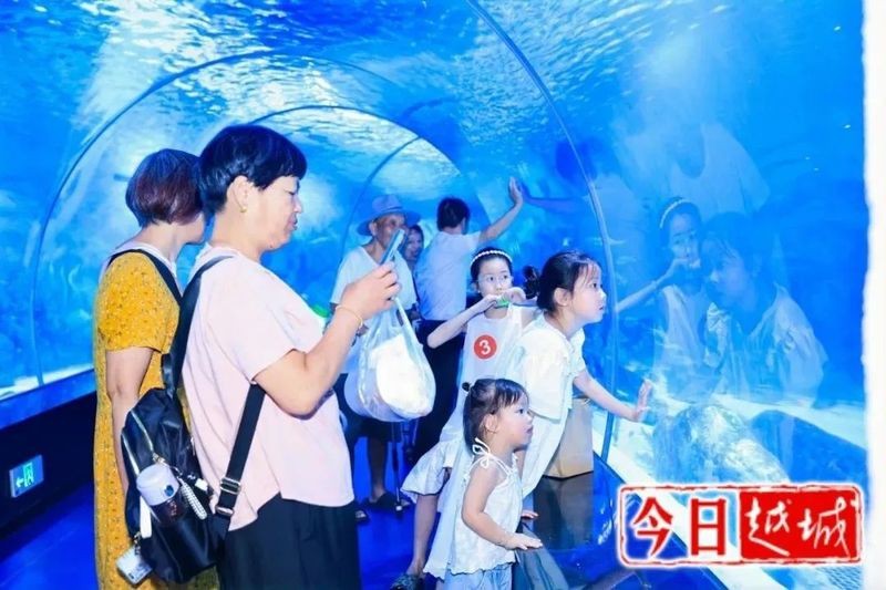 諾爾貢水族店|浙東淡水魚館火了紹興人的水族店即將亮相南充水族店