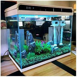 森森魚缸是雜牌子還是名牌|森森魚缸品牌價值深入探討森森魚缸品牌 森森魚缸是雜牌子還是名牌|森森魚缸品牌價值深入探討森森魚缸品牌\