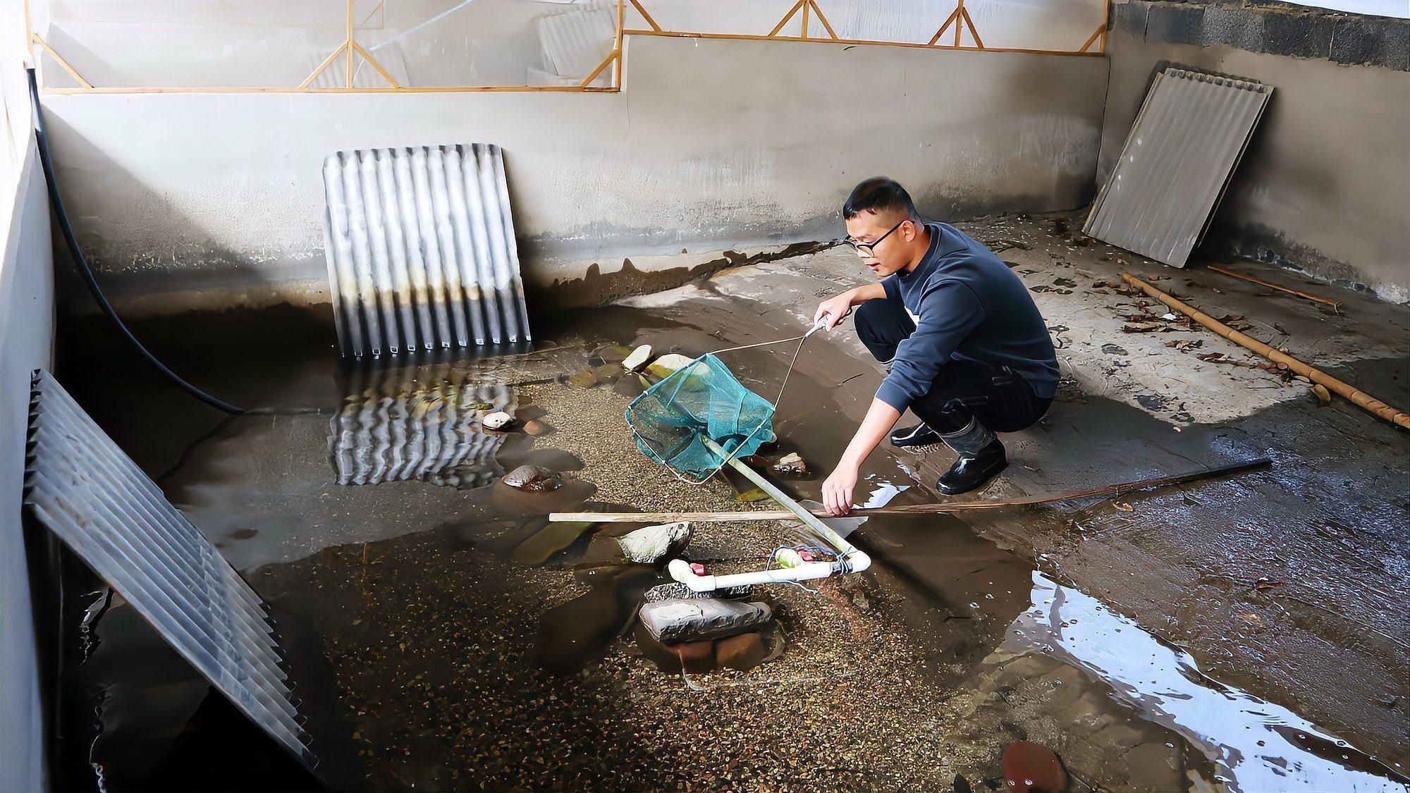 如何判斷水質是否適合冷水魚？|冷水魚怎么選,新手必看的避坑指南