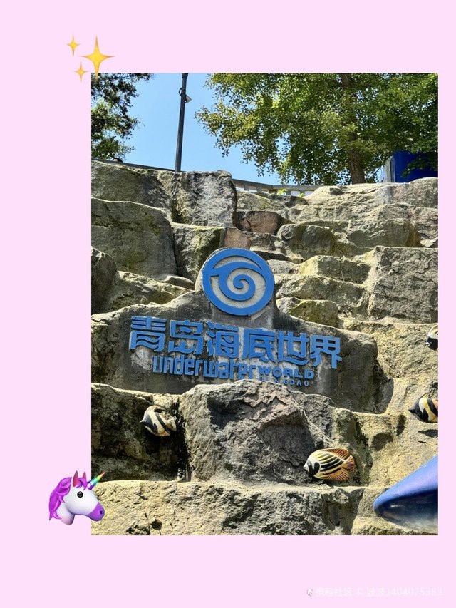 青島水族店|探秘中國(guó)首座水族館的奇妙世界