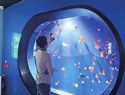 青島水族店|探秘中國(guó)首座水族館的奇妙世界