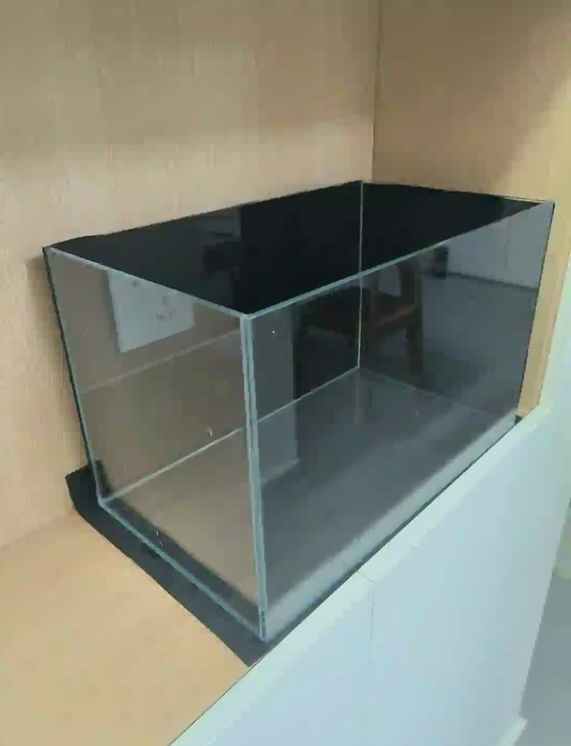 魚缸背景紙最忌三種顏色|魚缸最忌諱的三個顏色——紅色、黑色與色彩奧秘 魚缸背景紙最忌三種顏色|魚缸最忌諱的三個顏色——紅色、黑色與色彩奧秘 龍魚論壇 第7張