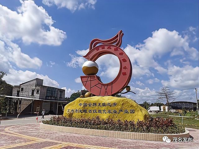 龍眼的象征意義有哪些歷史演變|龍眼的寓意是什么？