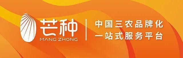 龍眼的象征意義有哪些歷史演變|龍眼的寓意是什么？