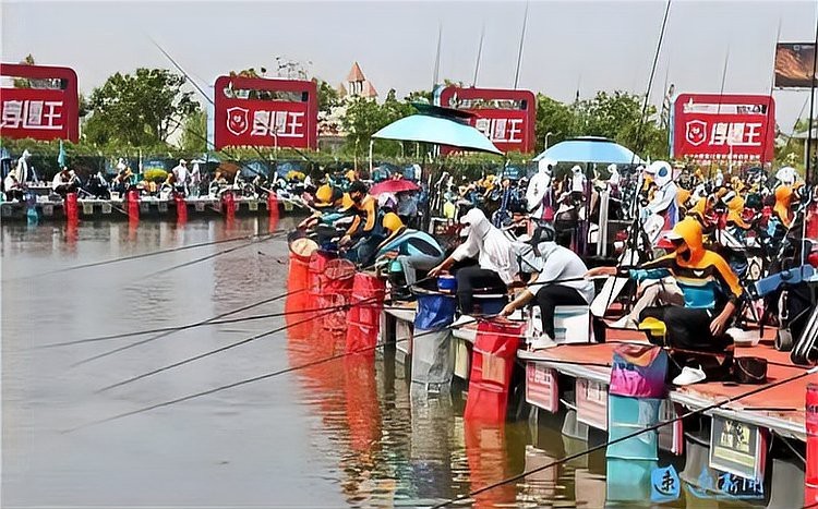 宿城龍魚店|宿城區(qū)旅游攻略