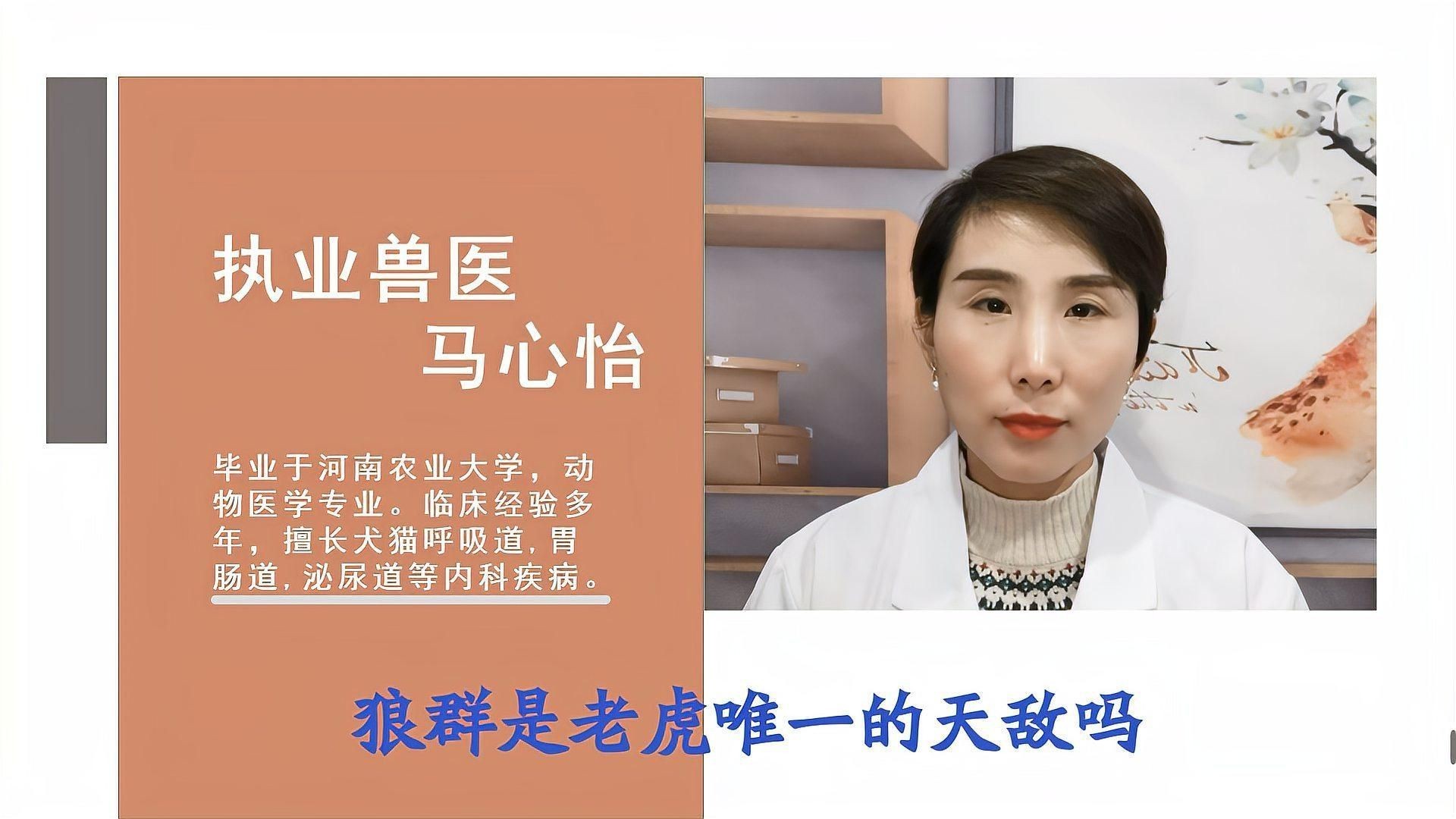 老虎唯一的天敵是誰|老虎唯一的天敵是什么動物