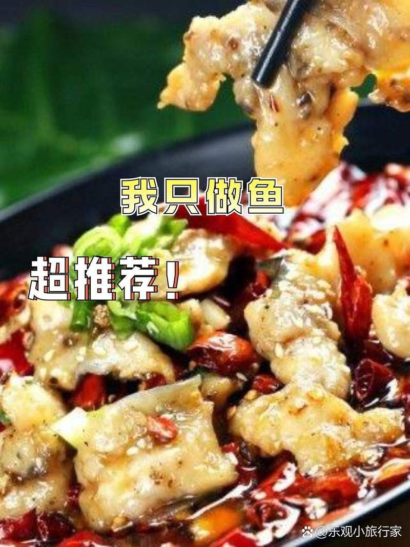 虎林龍魚店|虎林市與龍魚相關的店鋪及漁業資源信息
