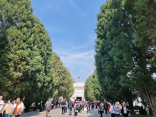 芷江龍魚店|光影龍騰非遺融合“和平之城”湖南芷江人潮涌動春意濃