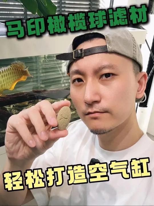 馬印濾材值得買嗎|哈利與金妮溫暖家魚缸濾材怎么選馬印橄欖球濾材怎么選
