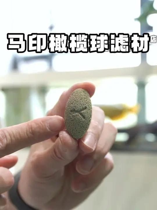馬印濾材值得買嗎|哈利與金妮溫暖家魚缸濾材怎么選馬印橄欖球濾材怎么選