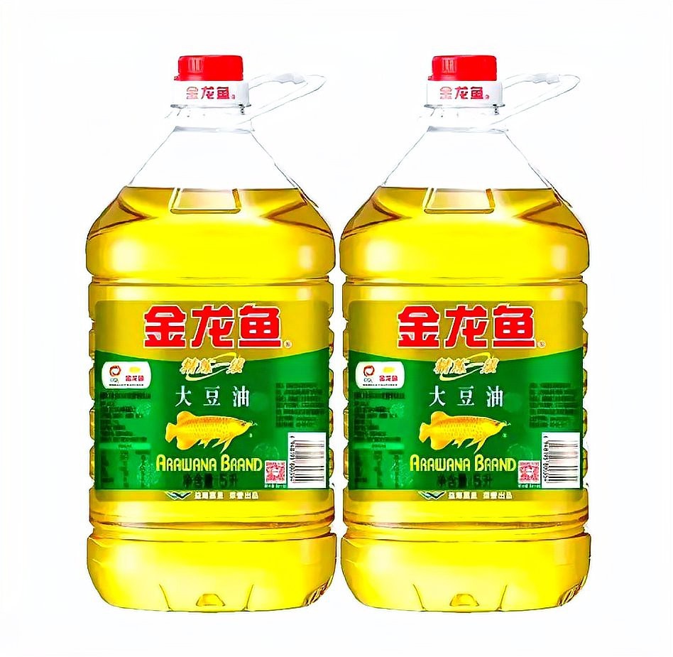 網上說金龍魚什么意思|金龍魚:不僅是寵物，更是招財進寶的象征!