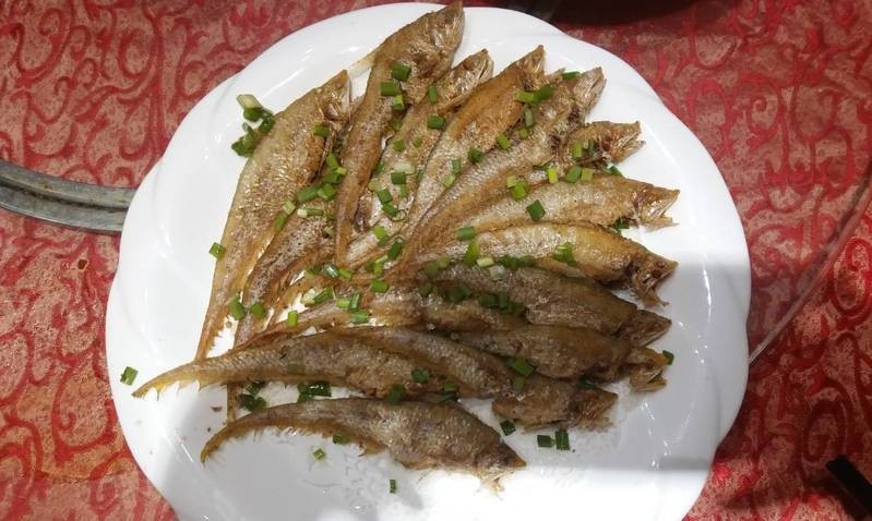 鳳尾魚是什么魚|鳳尾魚是一種具有重要經濟和文化價值的小型洄游性魚類