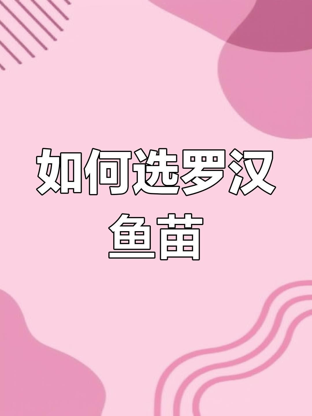 羅漢魚苗怎么挑選|如何挑選羅漢魚苗 龍魚百科 第1張 羅漢魚苗怎么挑選|如何挑選羅漢魚苗 羅漢魚苗怎么挑選|如何挑選羅漢魚苗 龍魚百科 第1張
