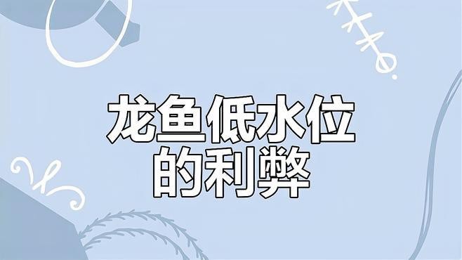低水位養龍魚有哪些潛在風險？|低水位養龍魚有哪些成功案例