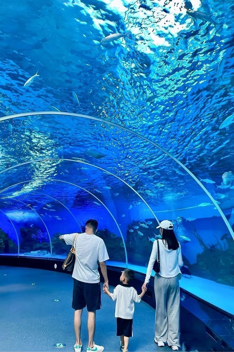 邢臺水族店|邢臺市主要水族店綜合信息