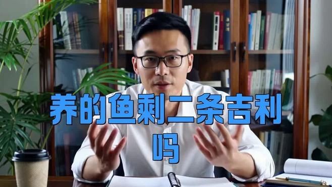 兩條魚的風水寓意|兩條魚在風水中的寓意