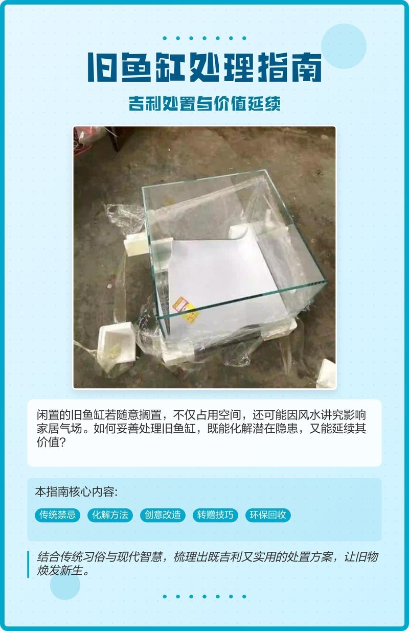 扔舊魚缸的正確方法|處理舊魚缸需綜合考慮風(fēng)水禁忌、環(huán)保要求及情感因素