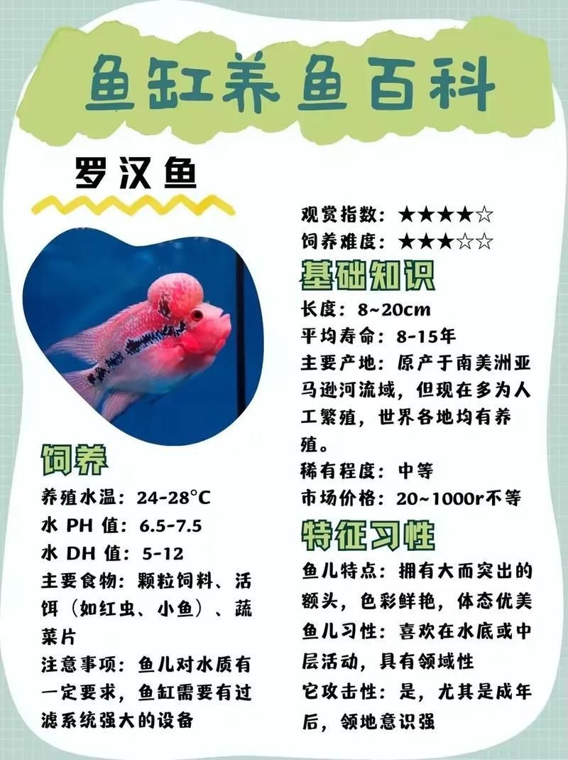 羅漢魚(yú)圖片及價(jià)格|羅漢魚(yú)價(jià)格史上最新最全羅漢魚(yú)價(jià)格齊家珍珠羅漢