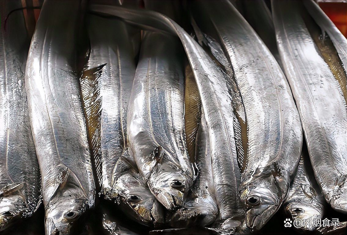 帶魚叫刀魚是哪里的叫法啊
